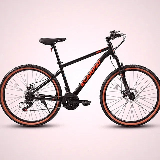 24" Mountain Bike: Steel Frame, 21-Speed, Disc Brakes, 250lb Capacity